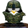 Avatar de lobo_negro